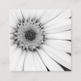 Afrikanische Daisy Monochrome Floral Quadratische Visitenkarte