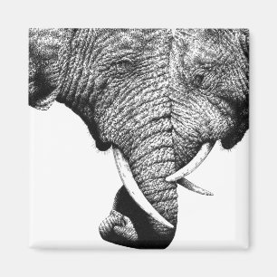 Afrikanische Elefant-Magnet Magnet