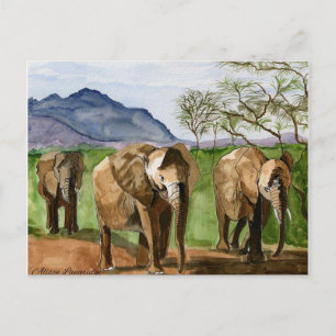 Afrikanische Elefanten Aquarellbilder Postkarte