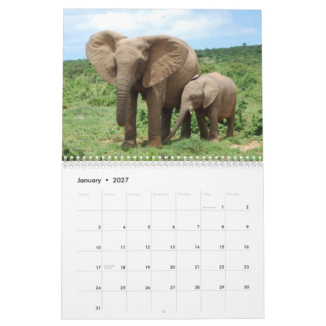 Afrikanische Elefanten in Addo Kalender (Jan 2027)