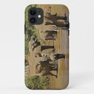 Afrikanische Elefanten, Loxodonta Africana, Sambur iPhone 11 Hülle