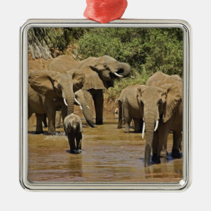 Afrikanische Elefanten, Loxodonta Africana, Sambur Ornament Aus Metall