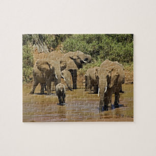 Afrikanische Elefanten, Loxodonta Africana, Sambur Puzzle