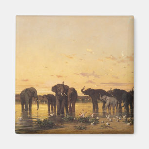 Afrikanische Elefanten Magnet