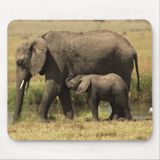 Afrikanische Elefanten Mousepad