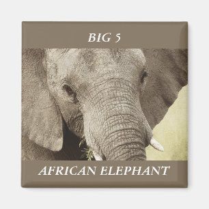 Afrikanische Elefanten-Safarimagnete Magnet