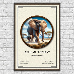 Afrikanische Elefanten-Zoologie-Serie Poster