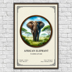 Afrikanische Elefanten-Zoologie-Serie Poster
