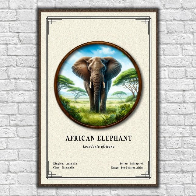 Afrikanische Elefanten-Zoologie-Serie Poster (Von Creator hochgeladen)