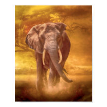 Afrikanische Elephant Nobility
