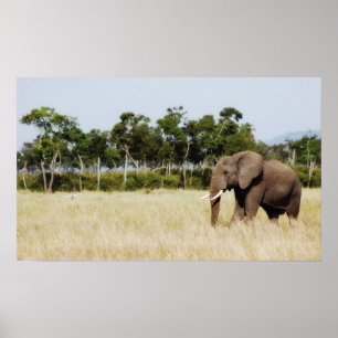 afrikanische Elephant-Plakatwand hängt Poster
