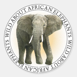 afrikanische Elephant Stickers
