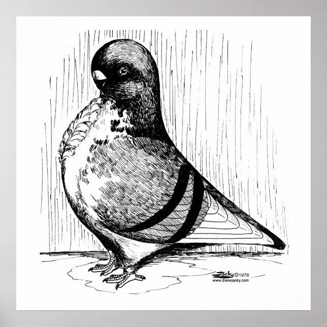 Afrikanische Eule-Taube 1978 Poster (Vorne)