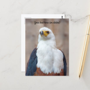 Afrikanische Fischadler Postcard Postkarte