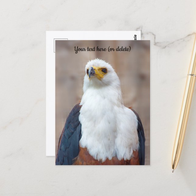 Afrikanische Fischadler Postcard Postkarte (Vorderseite/Rückseite Beispiel)