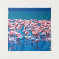 afrikanische Flamingos. Gruppe von Flamingos stehe