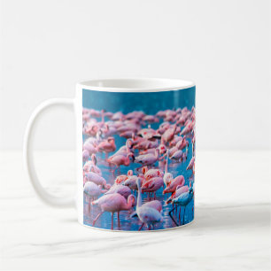 Afrikanische Flamingos. Gruppe von Flamingos steht Kaffeetasse