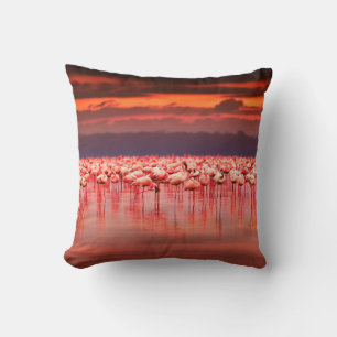 Afrikanische Flamingos im See bei schönem Sonnenun Kissen