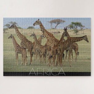 afrikanische Giraffen Puzzle