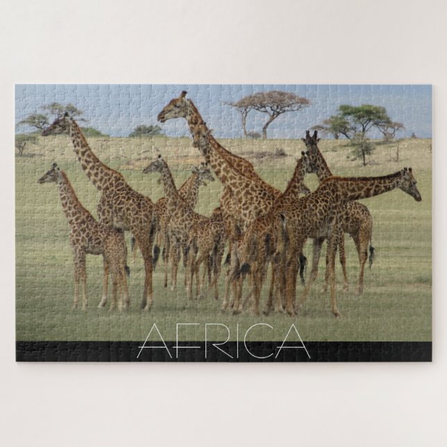 afrikanische Giraffen Puzzle (Horizontal)