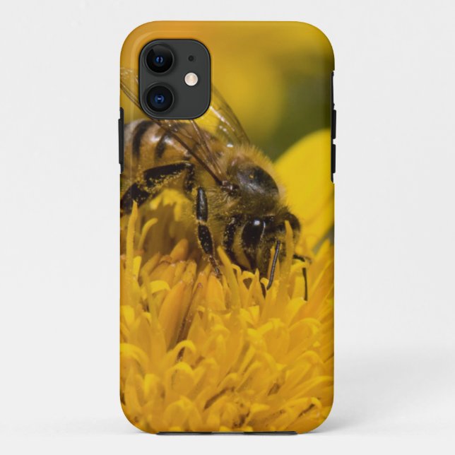 Afrikanische Honigbiene mit Pollensäcken Fütternd Case-Mate iPhone Hülle (Rückseite)