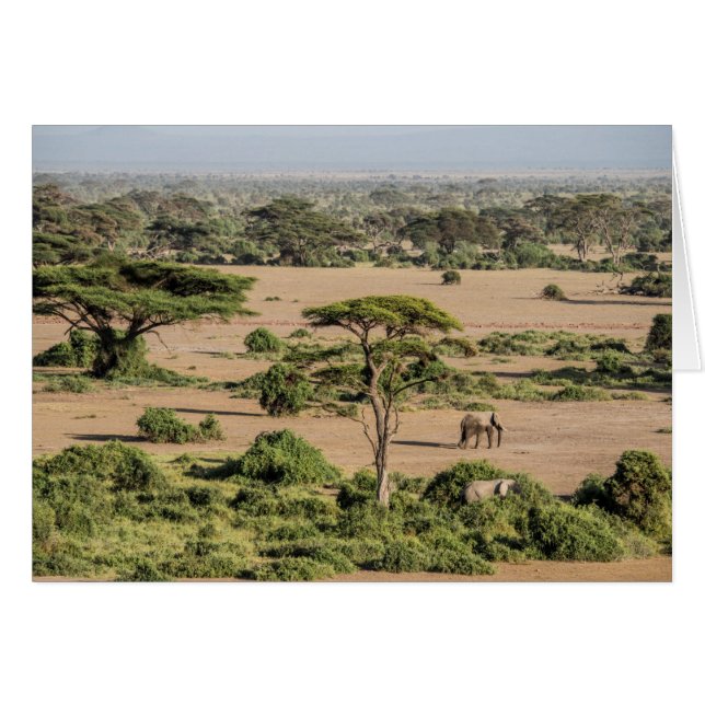 Afrikanische Landschaft mit Elefant (Vorderseite (Horizontal))