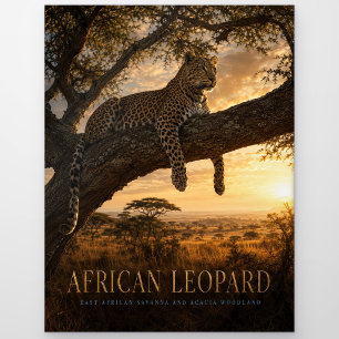 Afrikanische Leopard-Akazien-Savanne-TIERE Postkarte