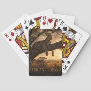 Afrikanische Leoparden-Akazien-Savanne ANIMALS Pok Spielkarten