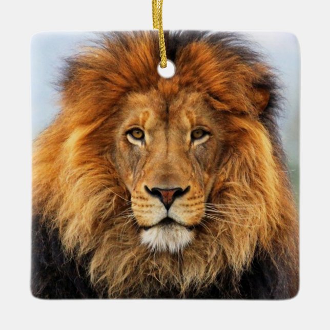 afrikanische Lion 1 Keramikornament (Vorderseite)