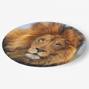 afrikanische Lion 1 Pappteller