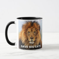 afrikanische Lion 1