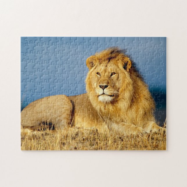 afrikanische Lion 2 Puzzle (Horizontal)