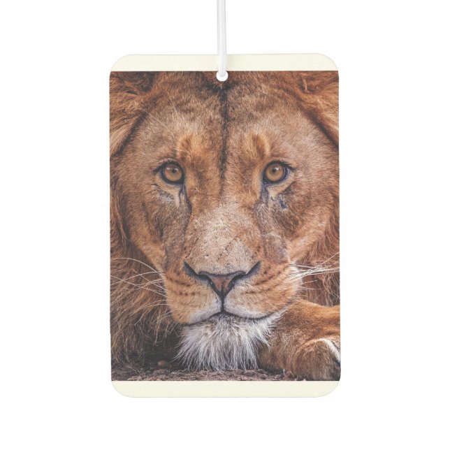 Afrikanische Lion Autolufterfrischer (Vorderseite)