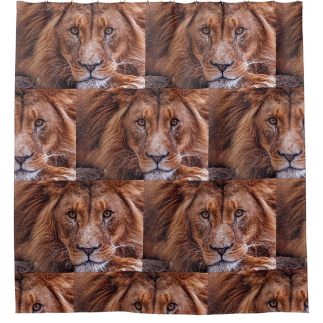 Afrikanische Lion Duschvorhang (Vorderseite)