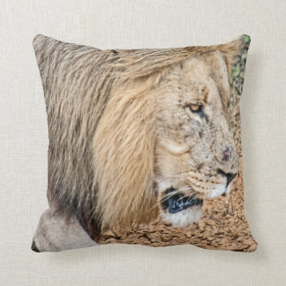 Afrikanische Lion Kissen