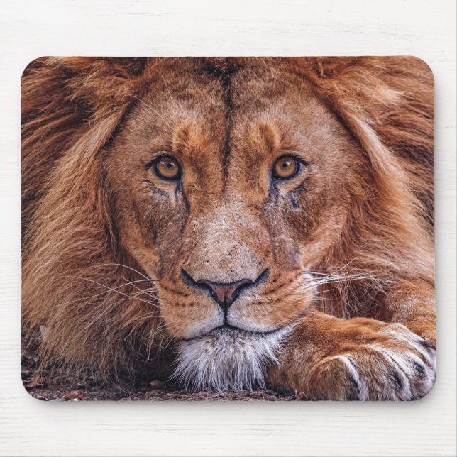 Afrikanische Lion Mousepad (Vorne)
