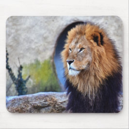 Afrikanische Lion Mousepad