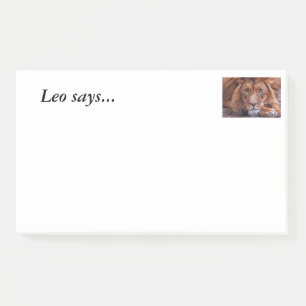 Afrikanische Lion Post-it Klebezettel