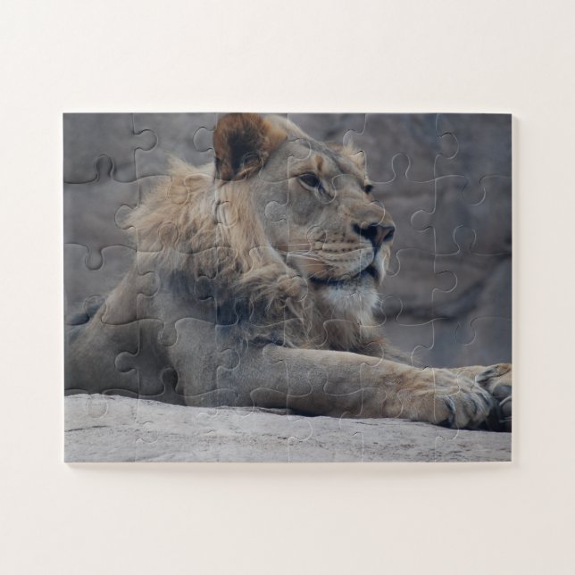 Afrikanische Lion Puzzle (Horizontal)