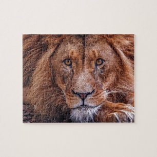 Afrikanische Lion Puzzle
