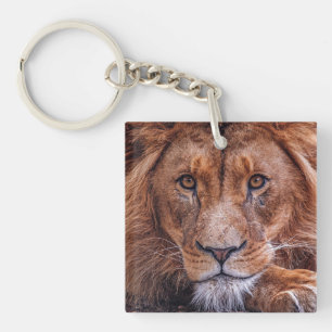 Afrikanische Lion Schlüsselanhänger