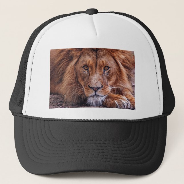 Afrikanische Lion Truckerkappe (Vorderseite)