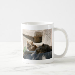 Afrikanische Löwen Tasse