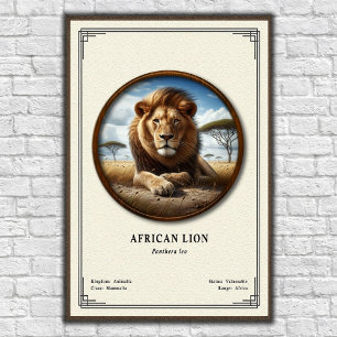 Afrikanische Löwen-Zoologie-Serie Poster