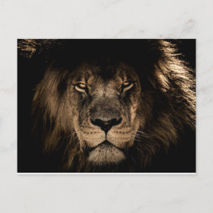 AFRIKANISCHE MALE LION POSTCARDS FEIERTAGSPOSTKARTE
