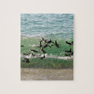 Afrikanische Pinguine schwimmen am Strand Puzzle