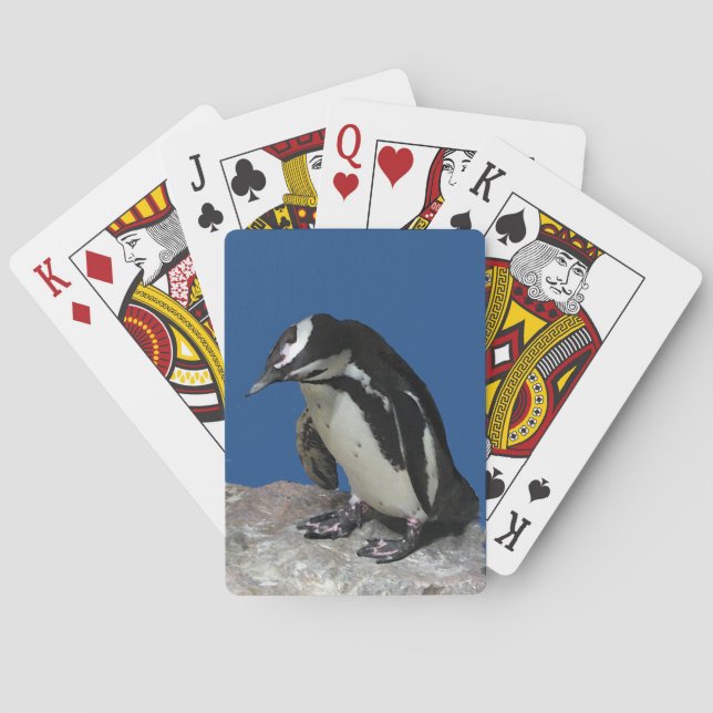 Afrikanische Pinguine Spielkarten (Rückseite)