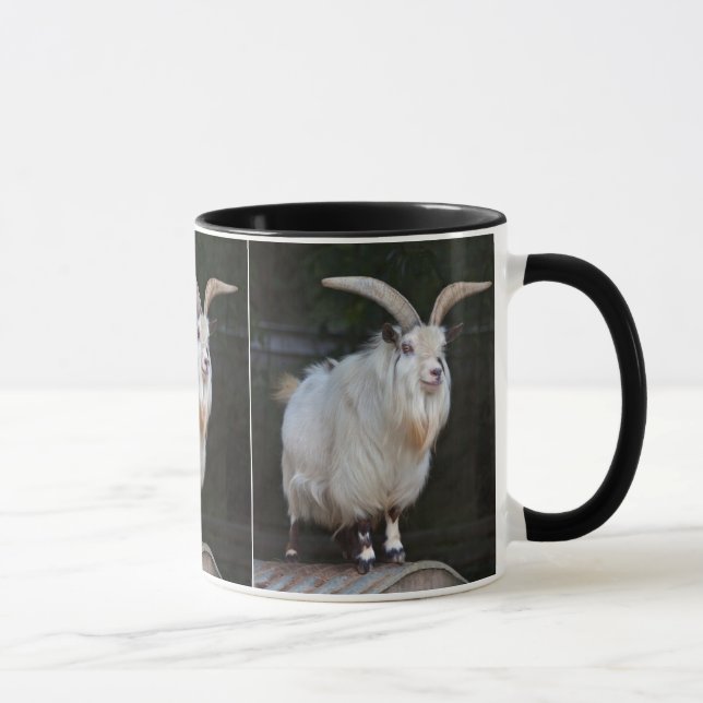 Afrikanische Pygmäen-Ziege-Tasse Tasse (Rechts)