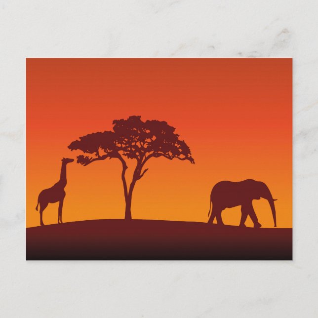Afrikanische Safari-Silhouette - Postkarte (Vorderseite)