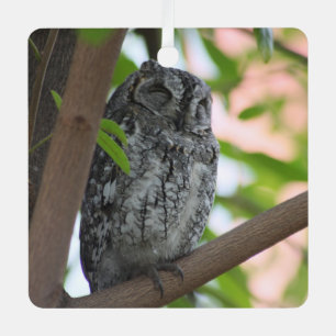Afrikanische Scops-Eule schläft in einem Baum Ornament Aus Metall